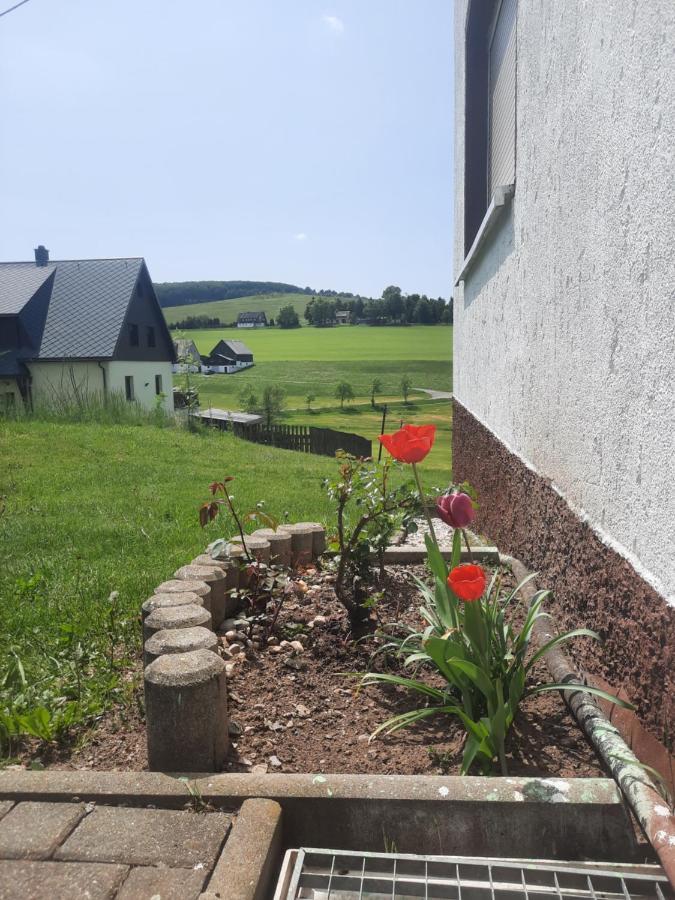 Ferienwohnung Wiesenblick In Seiffen Exteriör bild