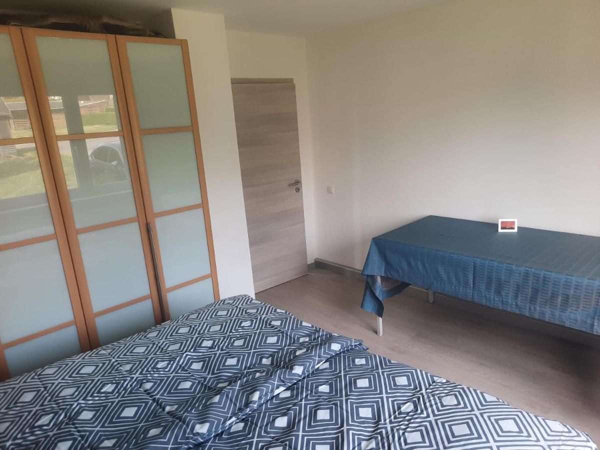 Ferienwohnung Wiesenblick In Seiffen Exteriör bild