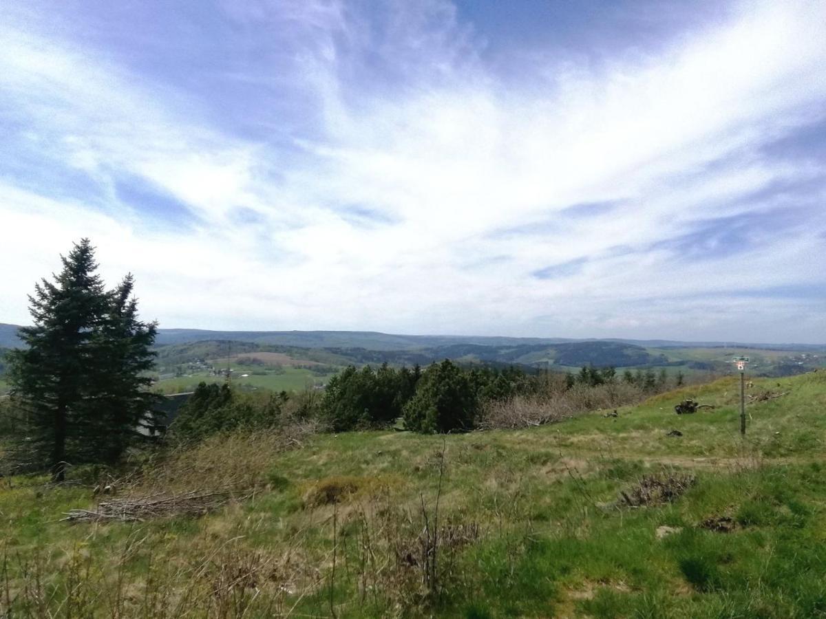 Ferienwohnung Wiesenblick In Seiffen Exteriör bild